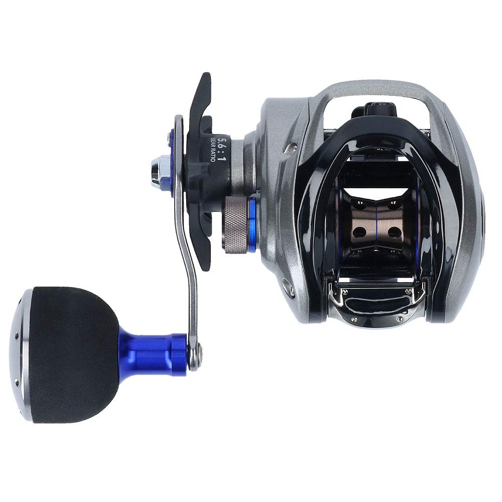 Amazon | ダイワ(DAIWA) フネ XT 150PL 両軸リール | ダイワ(DAIWA