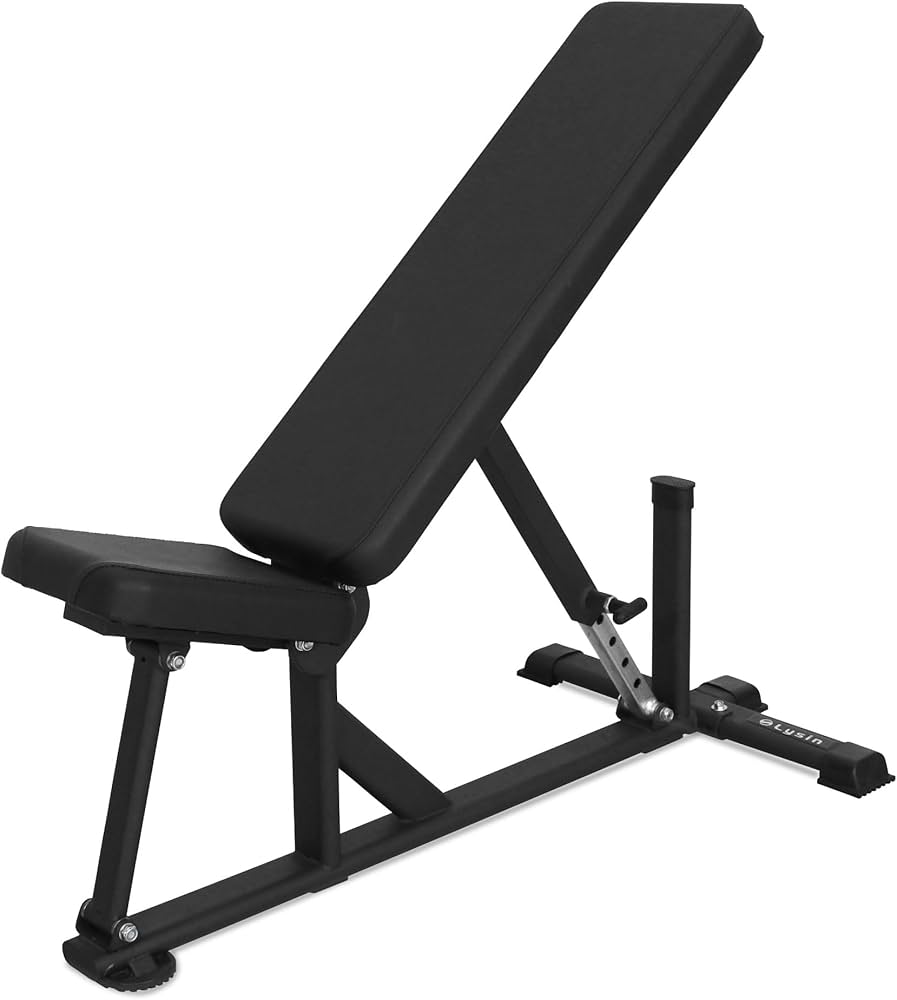 Amazon | ライシン インクラインベンチ ロング 試験荷重1250kgクリア