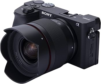 Amazon.com : Samyang 12mm F2.0 AF Ultra Wide Lens for Sony E