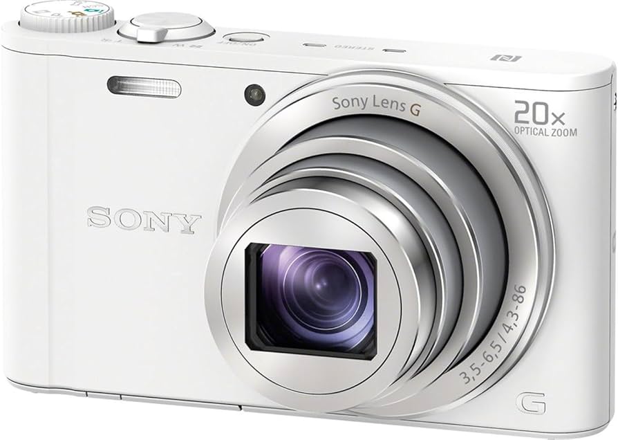 Amazon.com : Sony DSCWX350 18 MP Digital Camera (White) : Electronics