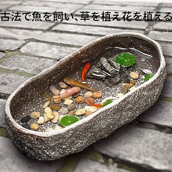 Amazon.co.jp: 金魚鉢 金魚 メダカ 鉢 メダカ鉢 睡蓮鉢 水耕植木鉢 亀