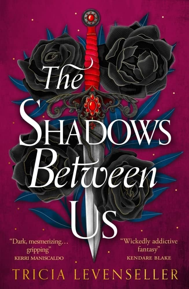 The Shadows Between Us: A decadently romantic standalone fantasy