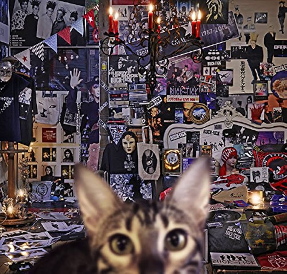 Amazon.co.jp: CATALOGUE 1987-2016 (初回限定盤B): Music