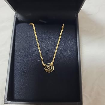 Amazon.co.jp: AKB48 板野友美 ネックレス FC継続特典 ホビーグッズ