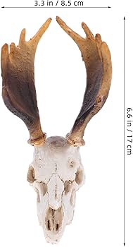 Amazon | OUNONA 爬虫類水槽用樹脂製鹿の頭蓋骨隠れ家 リアル