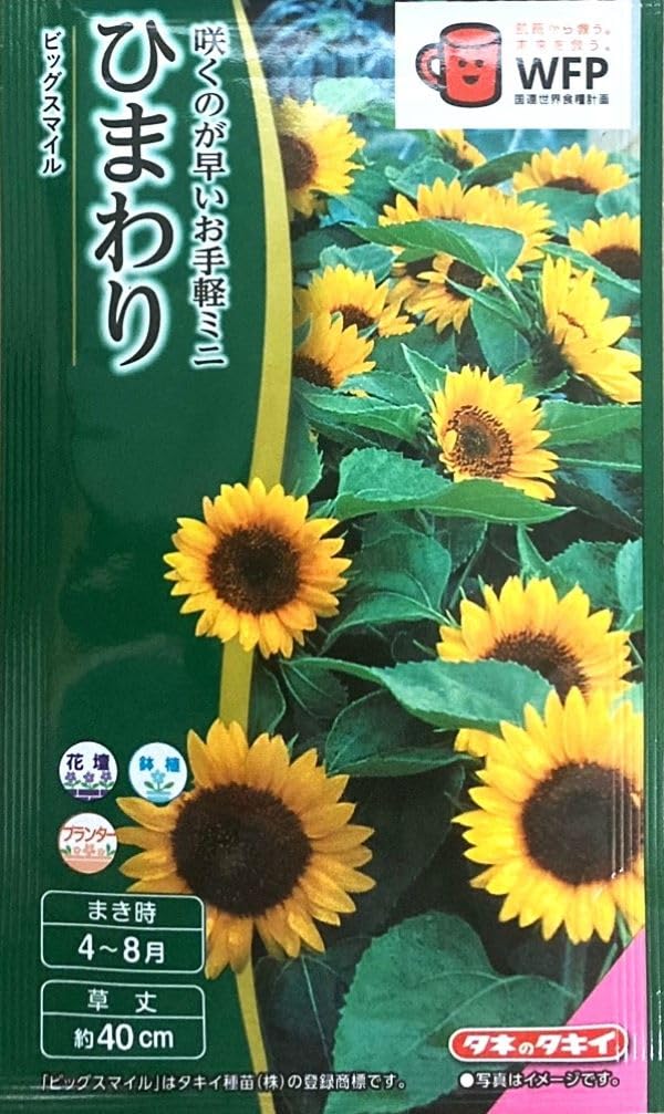 Amazon | タキイ種苗 花種 ひまわり ビッグスマイル | 花