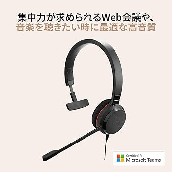 Amazon.co.jp: 【Amazon.co.jp限定】Jabra ヘッドセット Evolve 20 SE