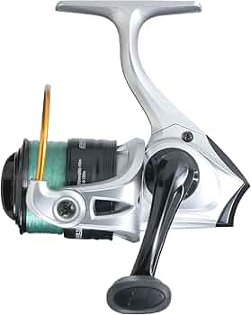 61KpP2ewWZS._AC_UF350,