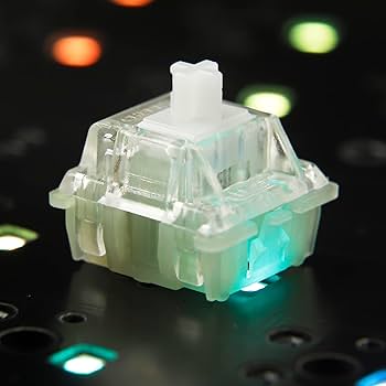 61KtMR3+2aL._AC_UF350,