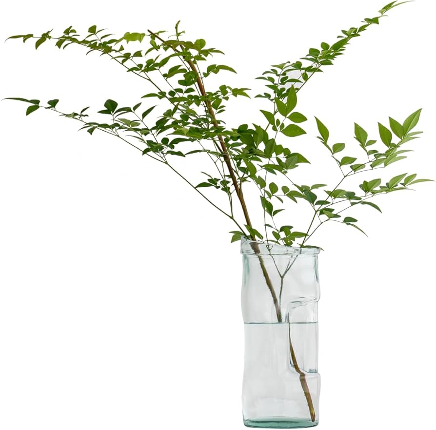 Amazon.co.jp: SANMIGUEL（サンミゲル） 花瓶 リサイクル ガラス