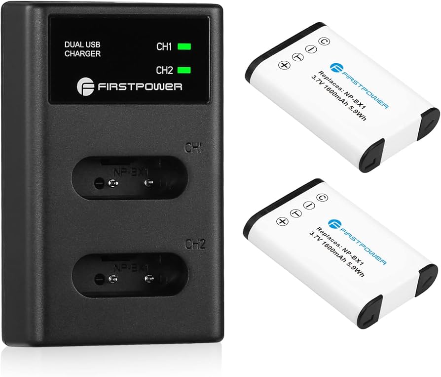 Amazon.com : FirstPower NP-BX1 Battery 2-Pack and Dual USB Charger