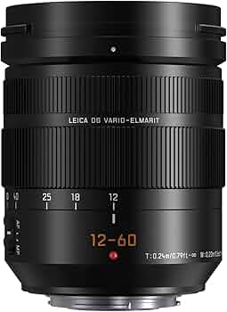 Amazon.com : Panasonic LUMIX Professional 12-60mm Camera Lens