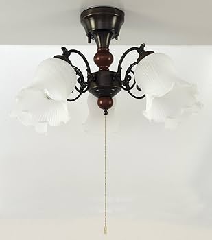 61L7+CQWAWL._AC_UF350,