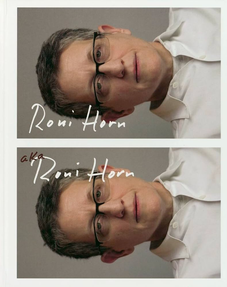 Roni Horn aka Roni Horn: Horn, Roni, Fer, Briony: 9783865218315