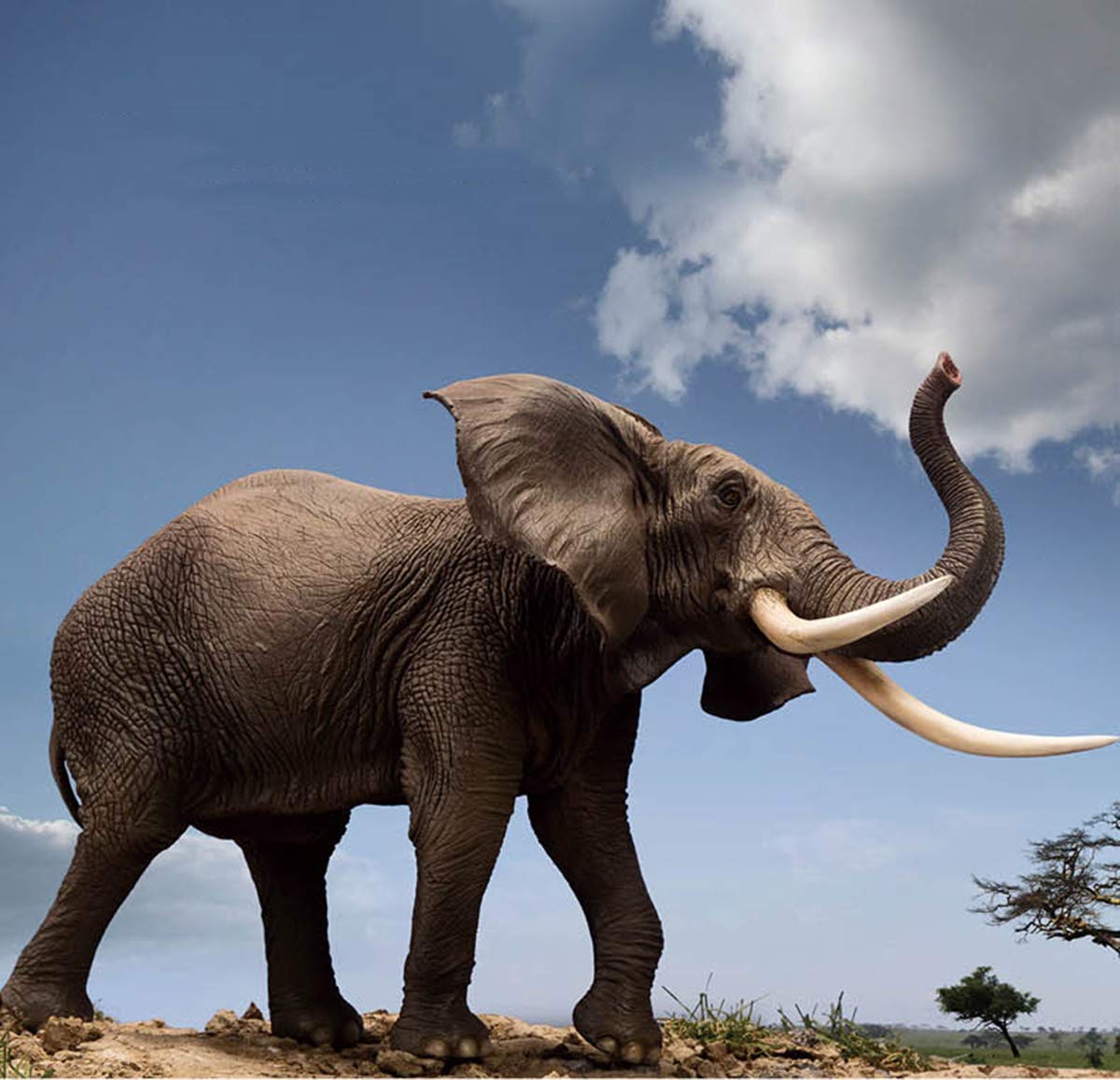 Amazon | PNSO 動物園シーリーズ アフリカ象 Mamman カバ Dunkey