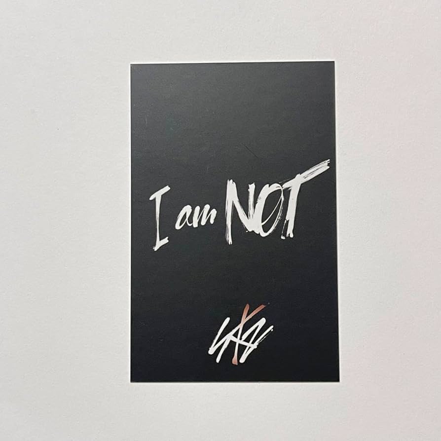 Amazon.co.jp: Stray Kids バンチャン I am not トレカ 台湾盤 : おもちゃ