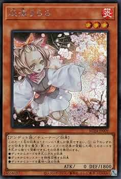 61Lg+TnM+7L._AC_UF350,