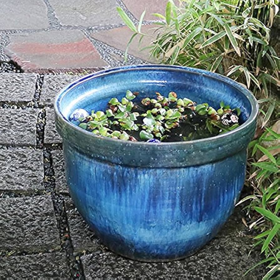 Amazon.co.jp: 信楽焼 水鉢鉢【青窯変天水水鉢 特大サイズ su-0229