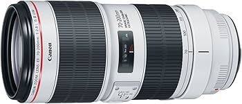 Amazon.co.jp: キヤノン EF70-200mm F2.8L IS III USM EF70-200LIS3