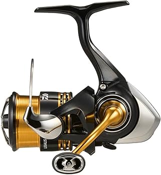 Amazon.com : Daiwa LT1000S Spinning Reel 23 Regalis : Sports