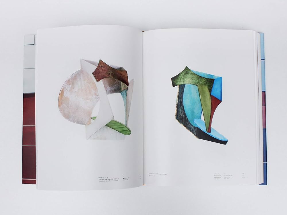 Amazon.co.jp: 岡﨑乾二郎 視覚のカイソウ : 岡﨑乾二郎: 本