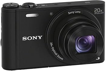 Amazon Canada: Sony DSCWX350 18 MP Digital Camera (Black)