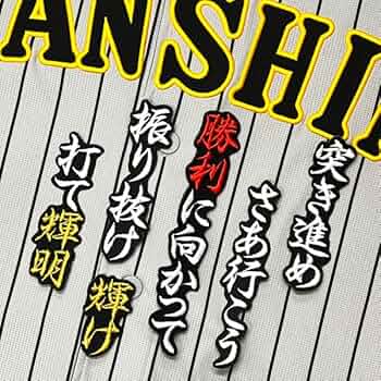 61MsEM-lhAL._AC_UF350,