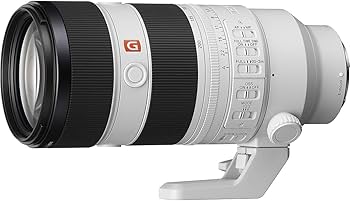 Amazon.co.jp: SONY(ソニー) 望遠ズームレンズ フルサイズ FE 70-200mm