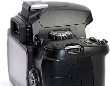 Amazon | Nikon デジタル一眼レフカメラ D40X ボディ D40X | デジタル