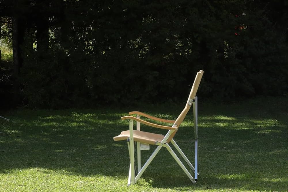 Amazon.co.jp: onway オンウェー コンフォートチェア2 OW-72BD-BM