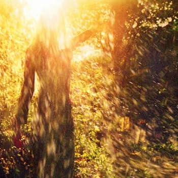 Amazon.co.jp: POPCOCOON: ミュージック