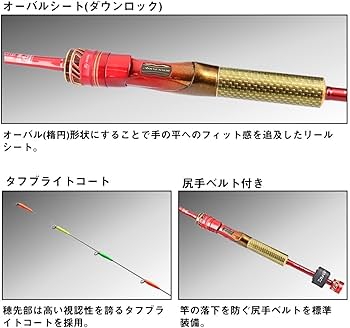 Amazon | ダイワ(DAIWA) イカダ竿 BJイカダEX メタルチューン 127