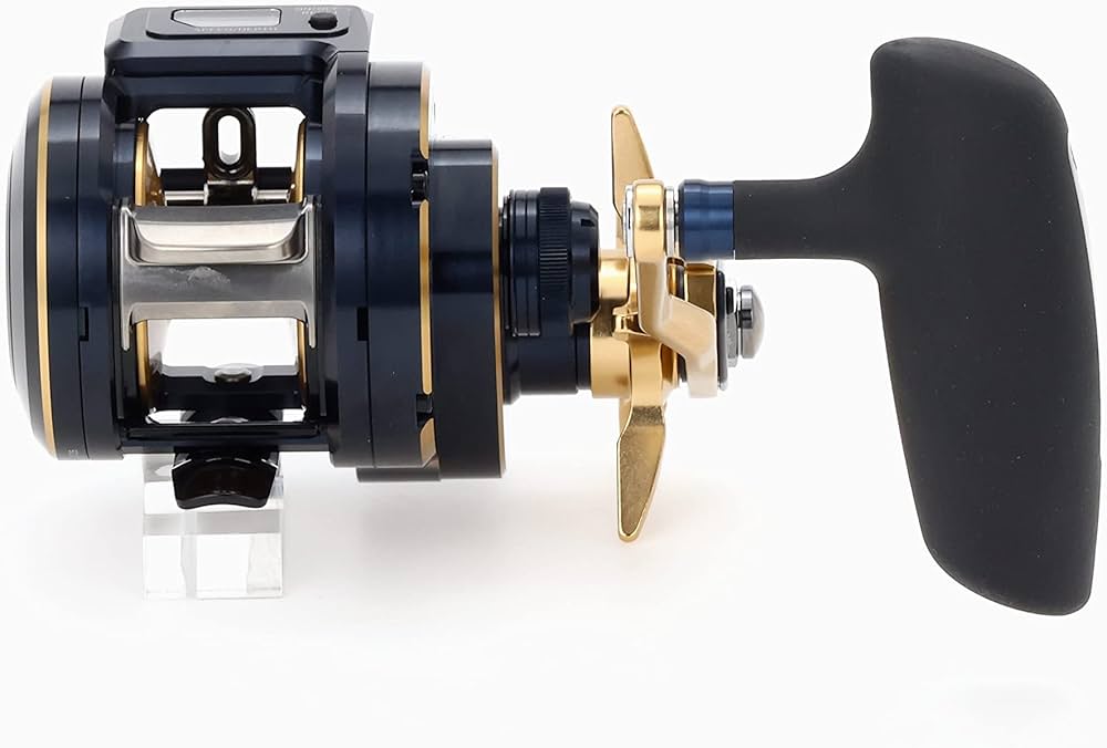 Amazon | ダイワ(DAIWA) 21 ソルティガIC 100/100P-DH/300/300H-SJ 右