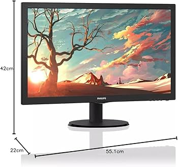 Amazon.co.jp: 【整備済み品】 フィリップス 液晶モニター 243V5QHABA