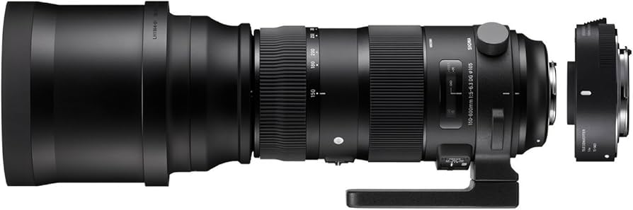 Amazon.com : Sigma 150-600mm F5-6.3 Sports DG OS HSM & TC-1401 for