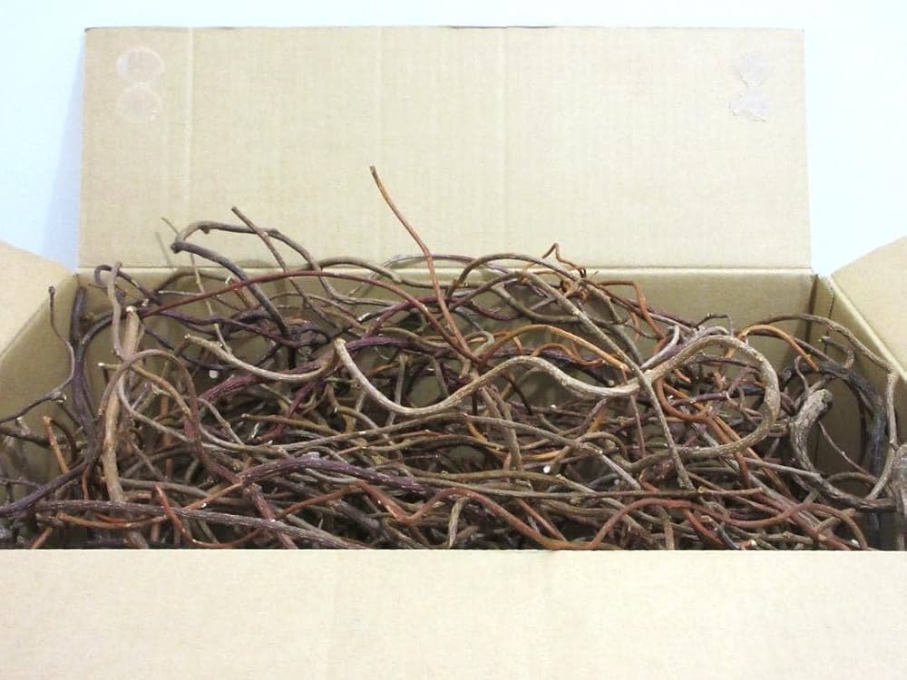 Amazon｜リース材料 リース土台素材 蔓 ツル つる 100サイズ