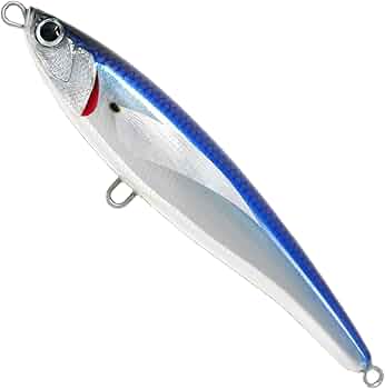 61P6vCTja9L._AC_UF350,