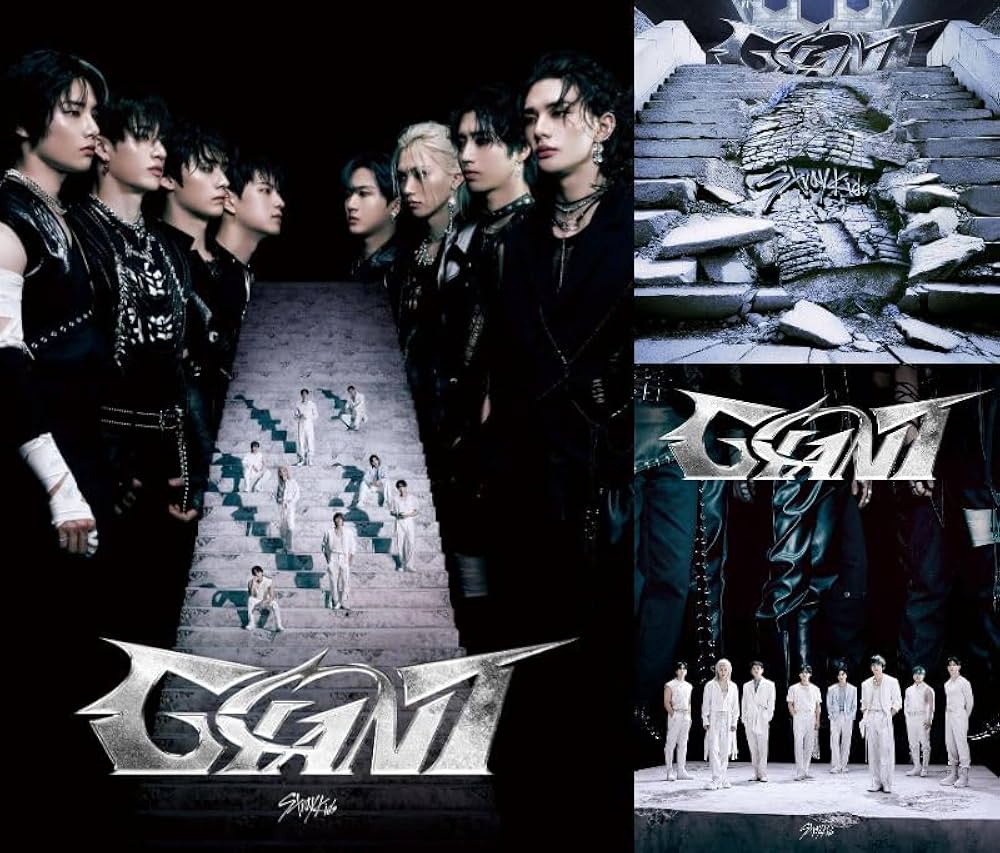 Amazon.co.jp: 【限定特典LIMITED PACKAGE付き3形態セット】 Stray