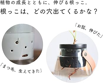 Amazon.co.jp: 根っこさん+つつ型 (ホワイト, Mサイズ) : DIY・工具