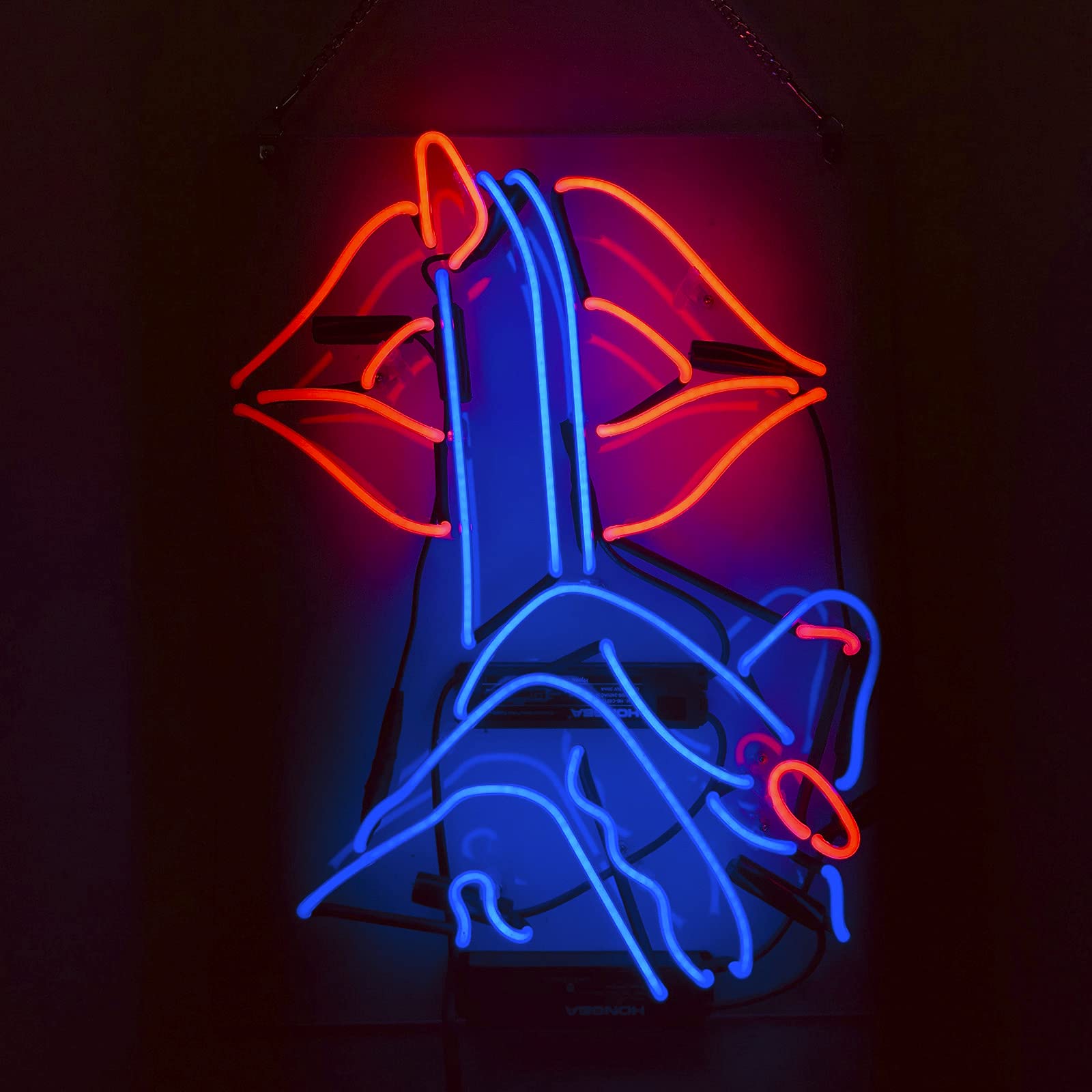 Amazon.co.jp: ネオンサイン NEON SIGN インテリア ネオン管 広告用