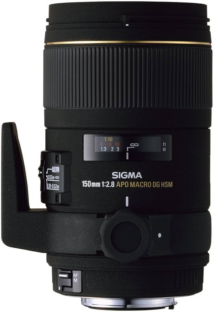 Amazon.co.jp: シグマ 150mm F2.8APO MACRO EX DG HSM ニコン用 : 家電