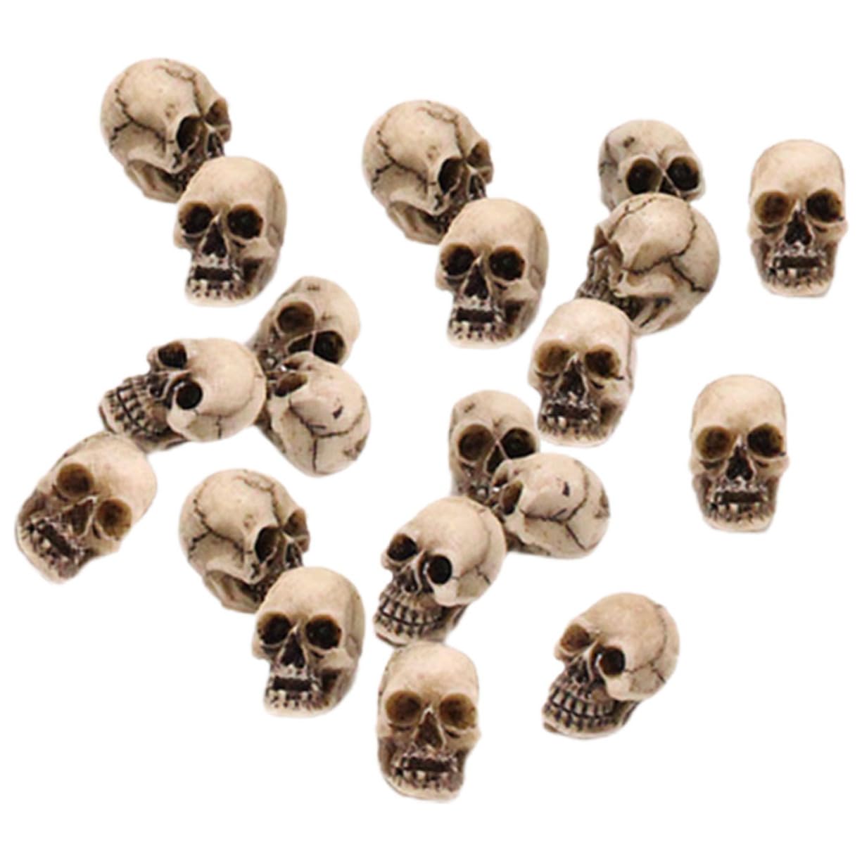 Amazon | 20個 小さい 頭 リアル 骸骨 頭蓋骨 ミニ 頭蓋骨 頭 ミニ