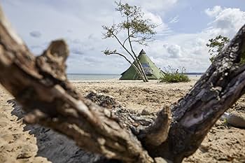 Amazon | Black Falls 8 | Grand Canyon | タープ