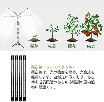 Amazon.co.jp: LED植物育成ライト、スタンド付き4ヘッドプラントライト