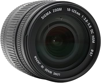 Amazon.co.jp: シグマ 18-125mm F3.8-5.6 DC HSM ソニー用 : 家電＆カメラ