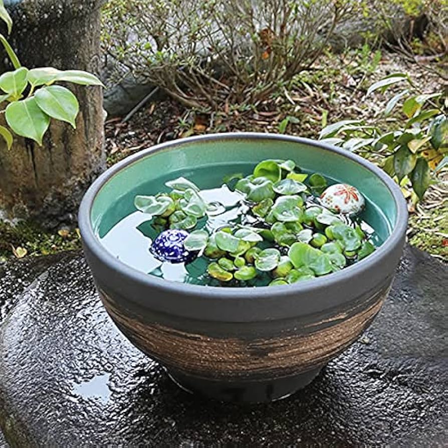Amazon.co.jp: 信楽焼 睡蓮鉢【13号はけ目水鉢 su-0251】すいれん鉢 蓮
