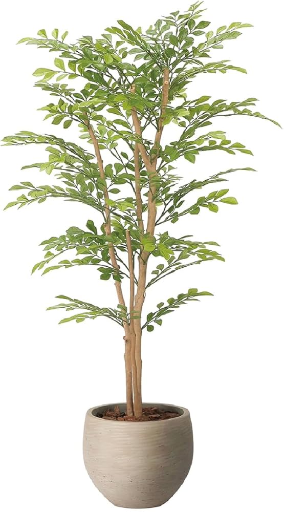 Amazon｜光触媒 光の楽園ナチュラルライトトネリコ 1.1m【インテリア