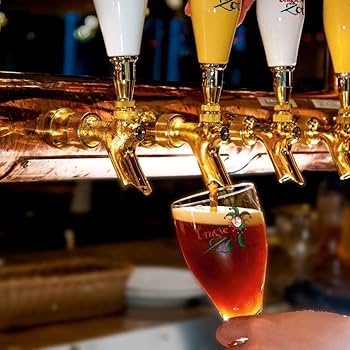 Amazon.co.jp: ブルッグスゾット Brugse Zot ダベル クラフトビール