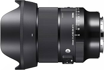 Amazon.com : Sigma 24mm F1.4 Art DG DN Lens for L Mount : Electronics