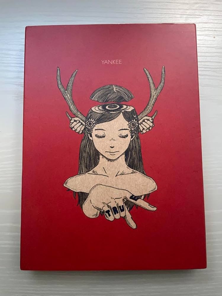 Amazon.co.jp: 米津玄師 YANKEE ヤンキー 初回限定版 画集版 ファイル
